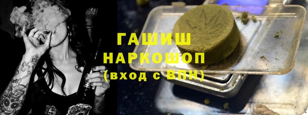 шишки Коряжма