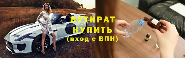 крисы Корсаков