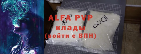 шишки Коряжма