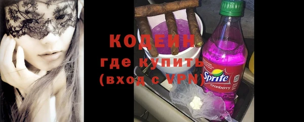 крисы Корсаков