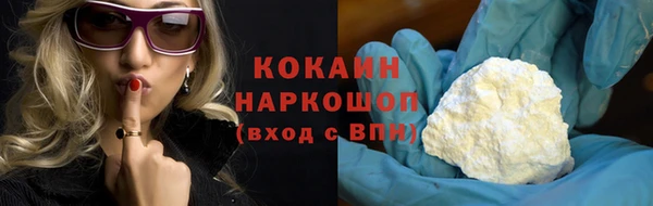 шишки Коряжма