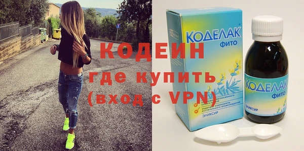 шишки Коряжма