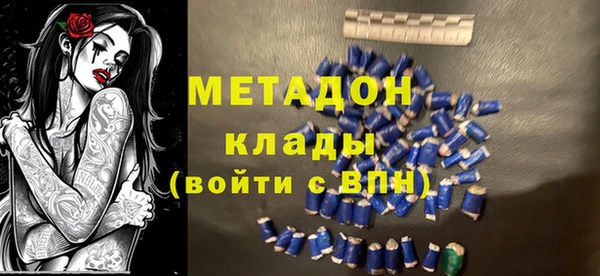 крисы Корсаков