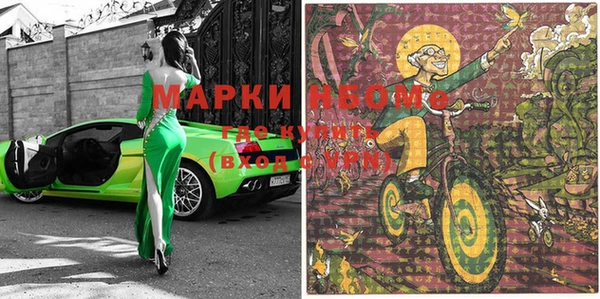 шишки Коряжма