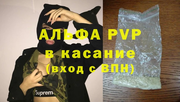крисы Корсаков