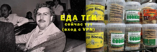 крисы Корсаков