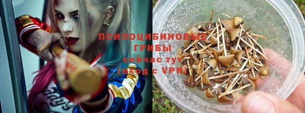 ешки Костерёво