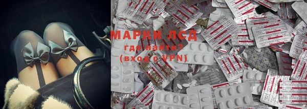 крисы Корсаков