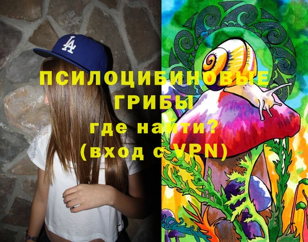 крисы Корсаков