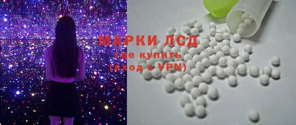 крисы Корсаков