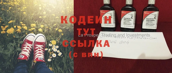 крисы Корсаков