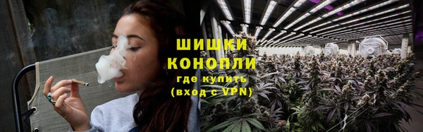 крисы Корсаков