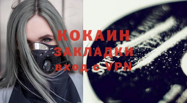 шишки Коряжма