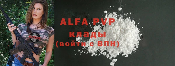 шишки Коряжма