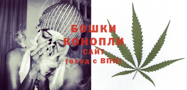 шишки Коряжма