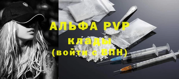 крисы Корсаков