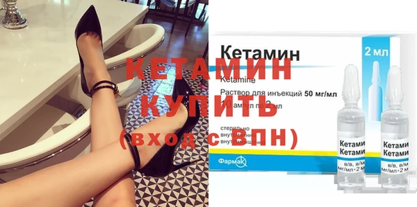 крисы Корсаков