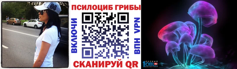 Купить где  Искитим  Псилоцибиновые грибы Psilocybe 